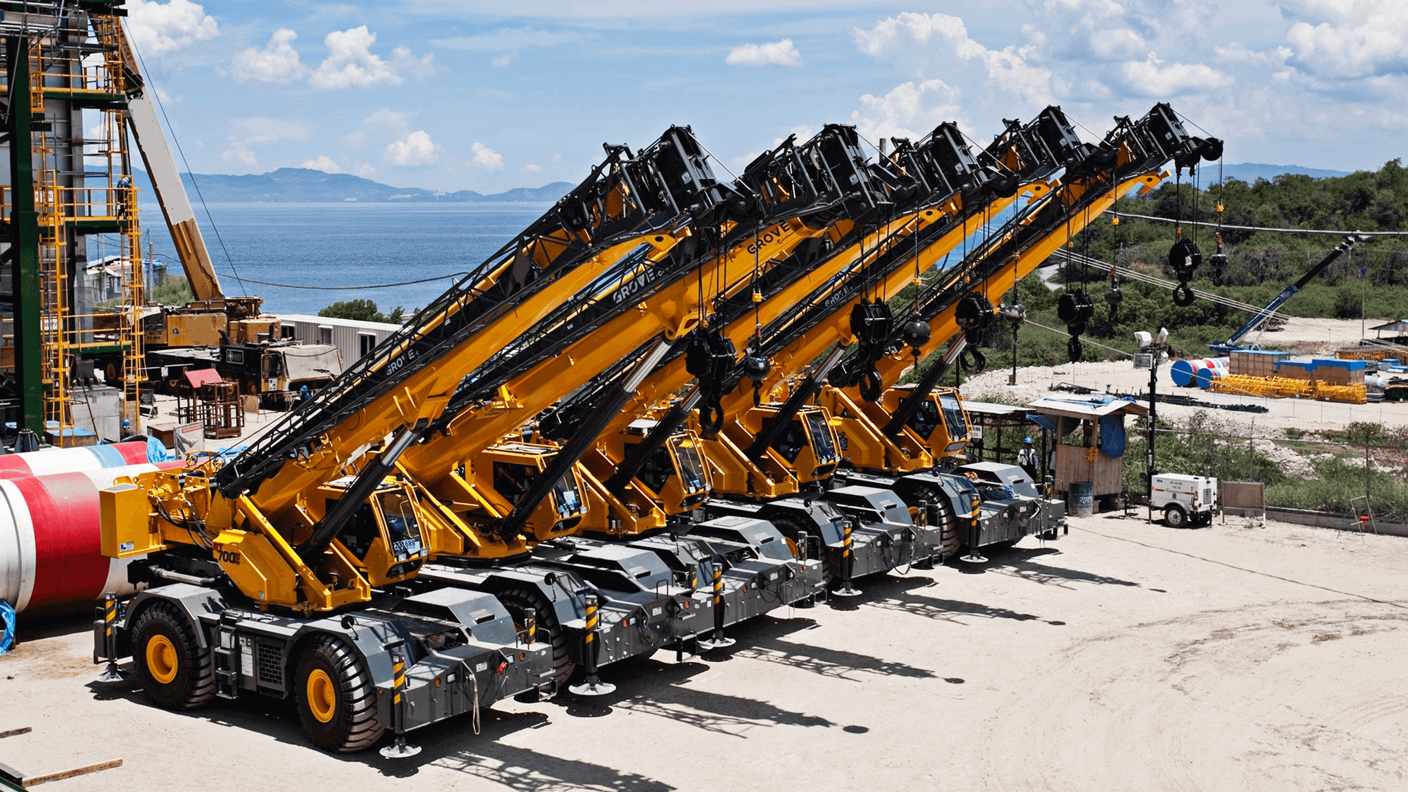 Terex